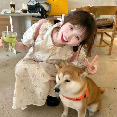 初生之犊
